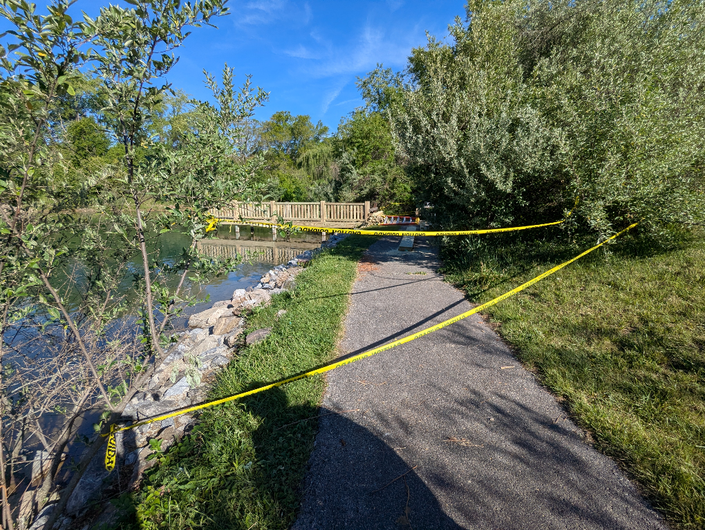 Dock Construction
